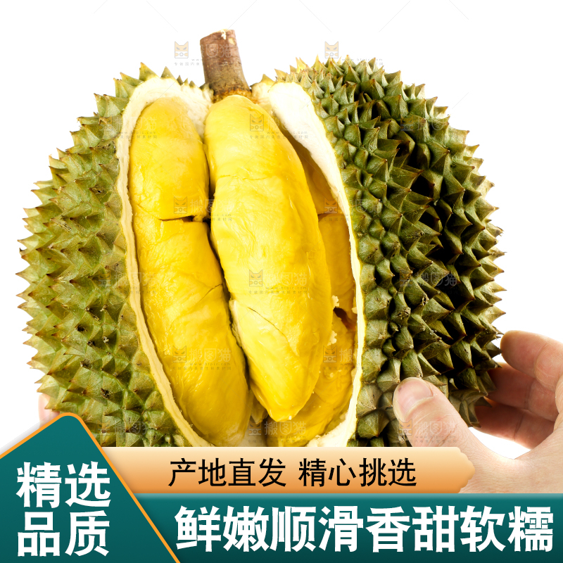白底上摆放着甲仑榴莲