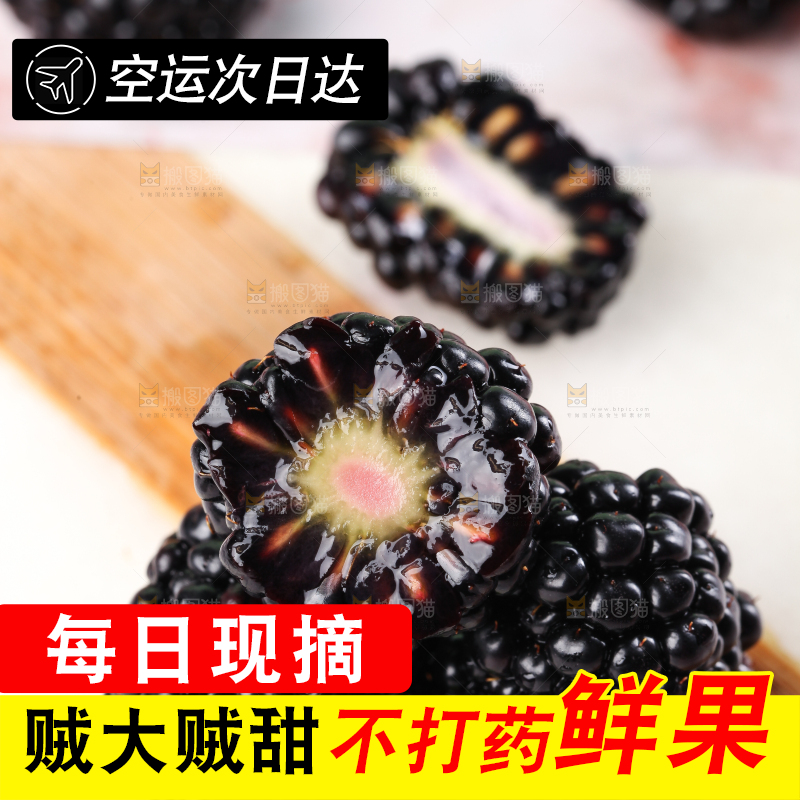 石板上的黑莓鲜果