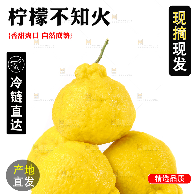 白底上放着四川柠檬不知火