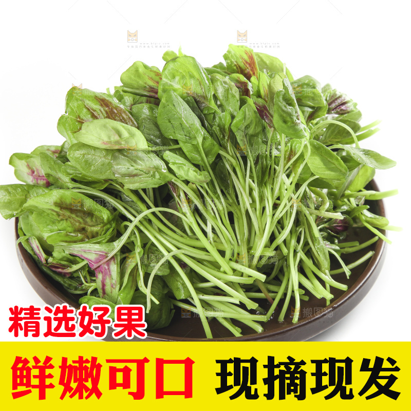 白底上放着一盘红苋菜