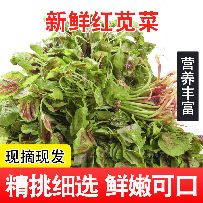 白底上的红苋菜