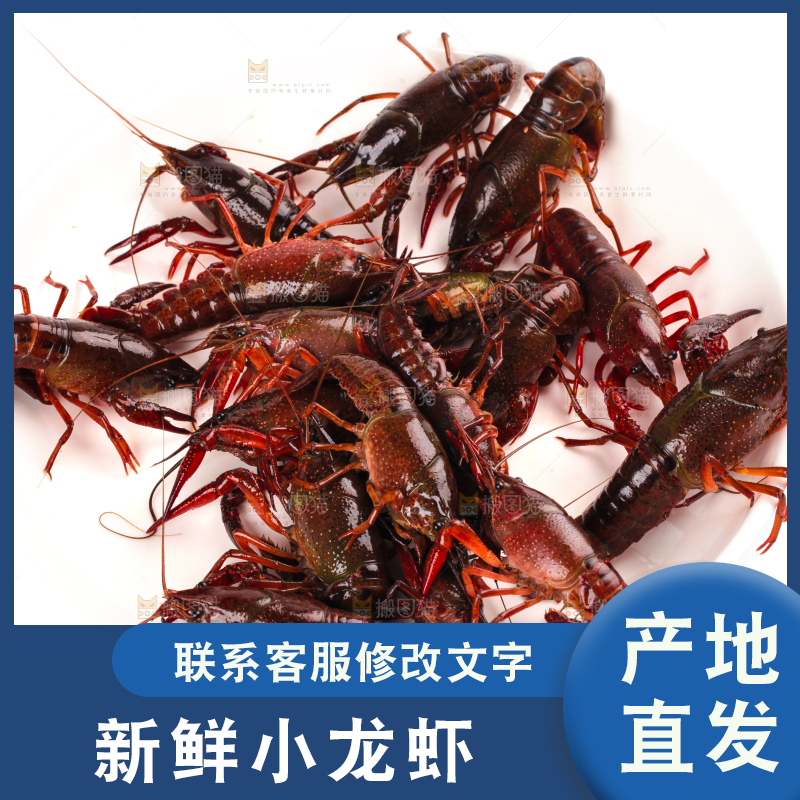 盘子里的鲜活龙虾