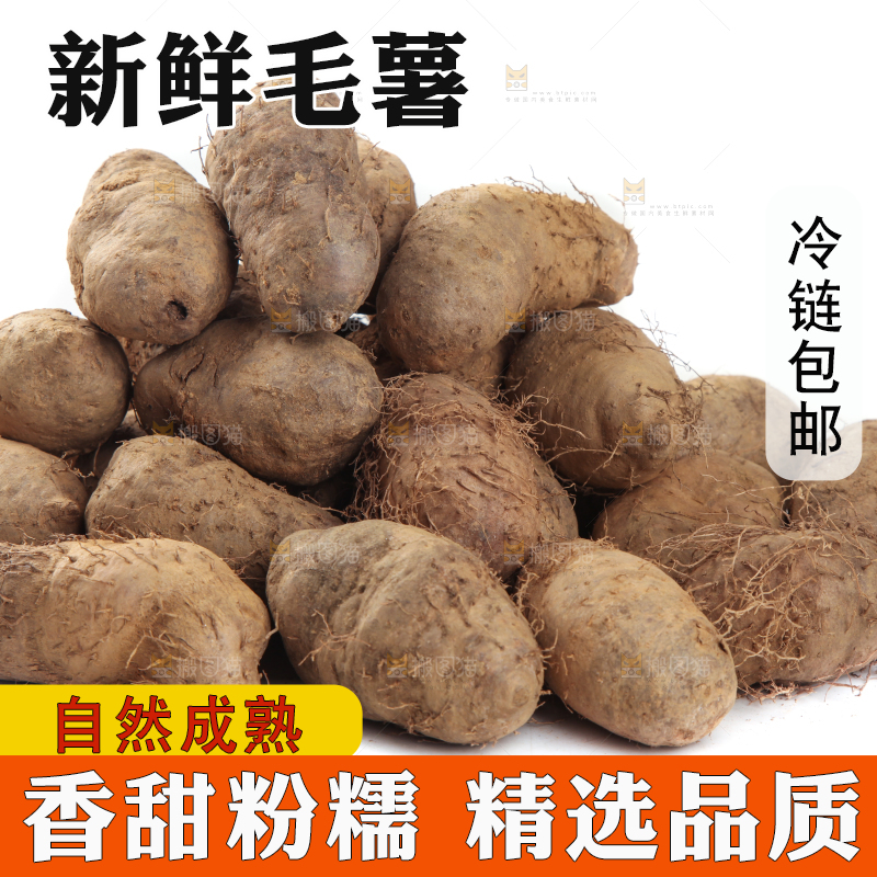 白底上堆着一堆高州毛薯
