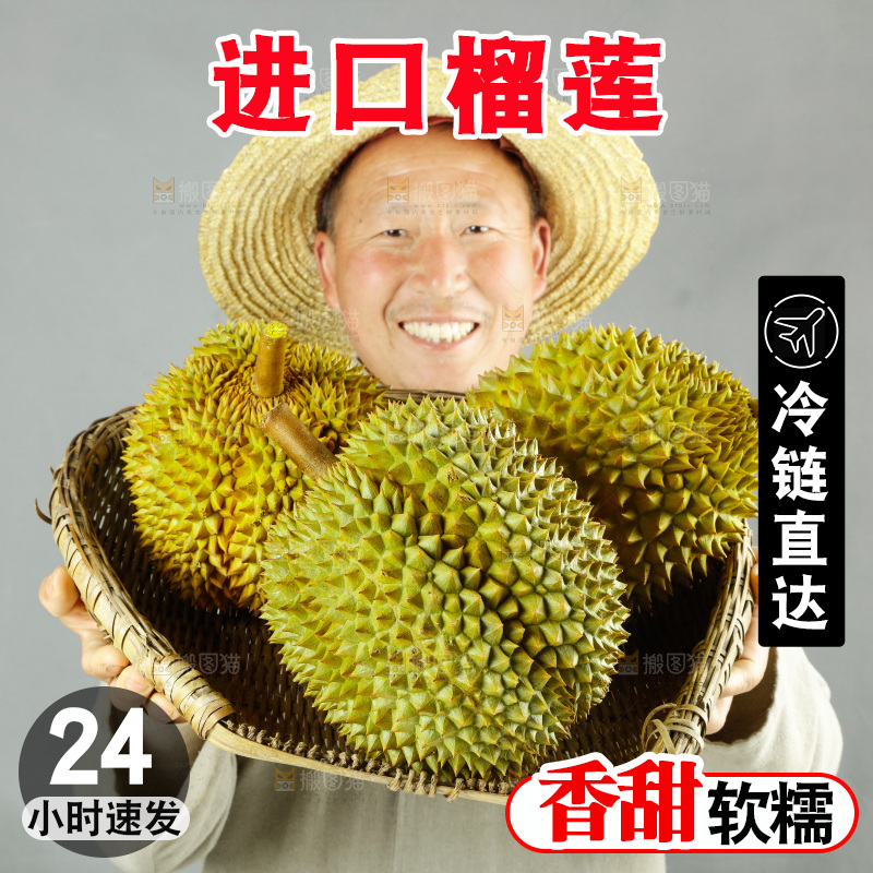 农民手里拿着泰国甲仑榴莲