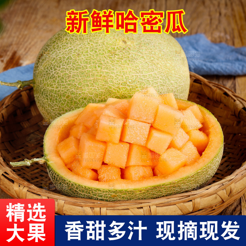 哈密瓜主图