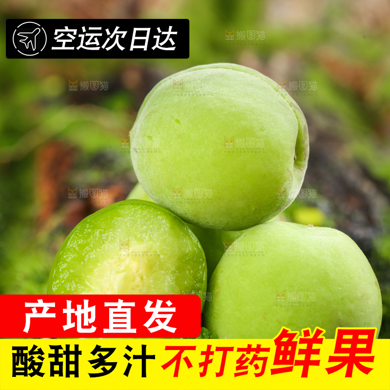 木底上放着云南大理青梅