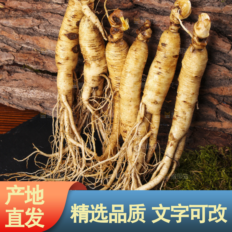 深底上的人参