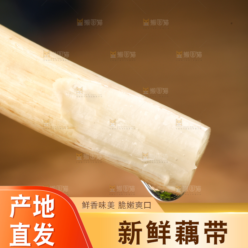 手里拿着藕苗