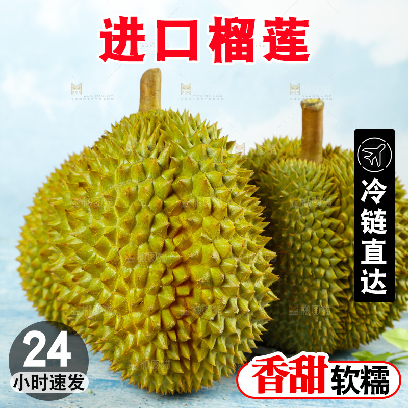 蓝底上的巴掌榴莲