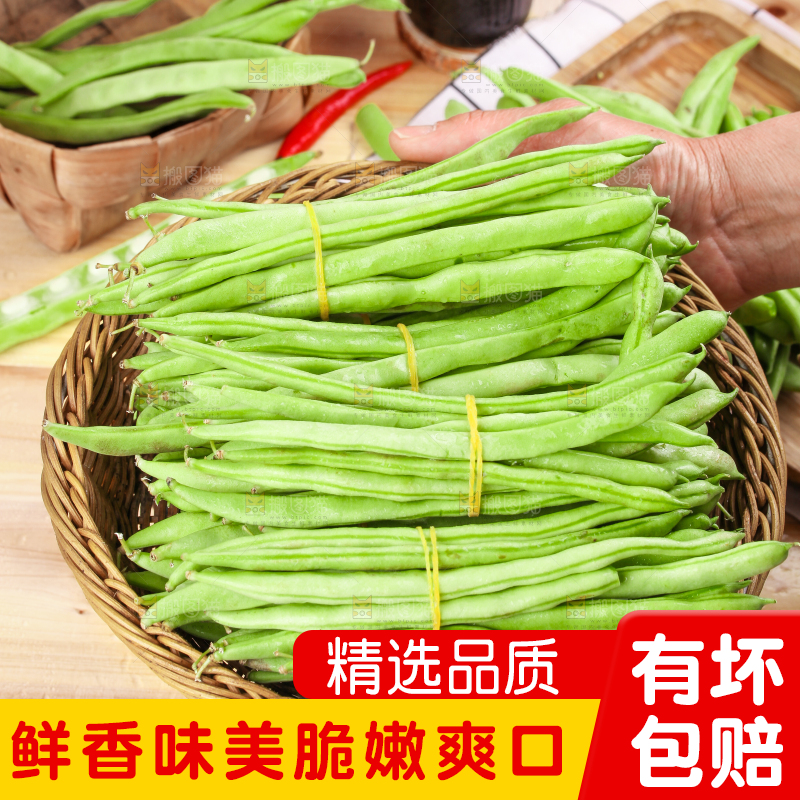 手里拿着云南新鲜四季豆