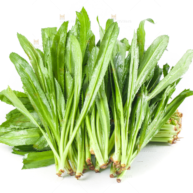 白底上的大香菜