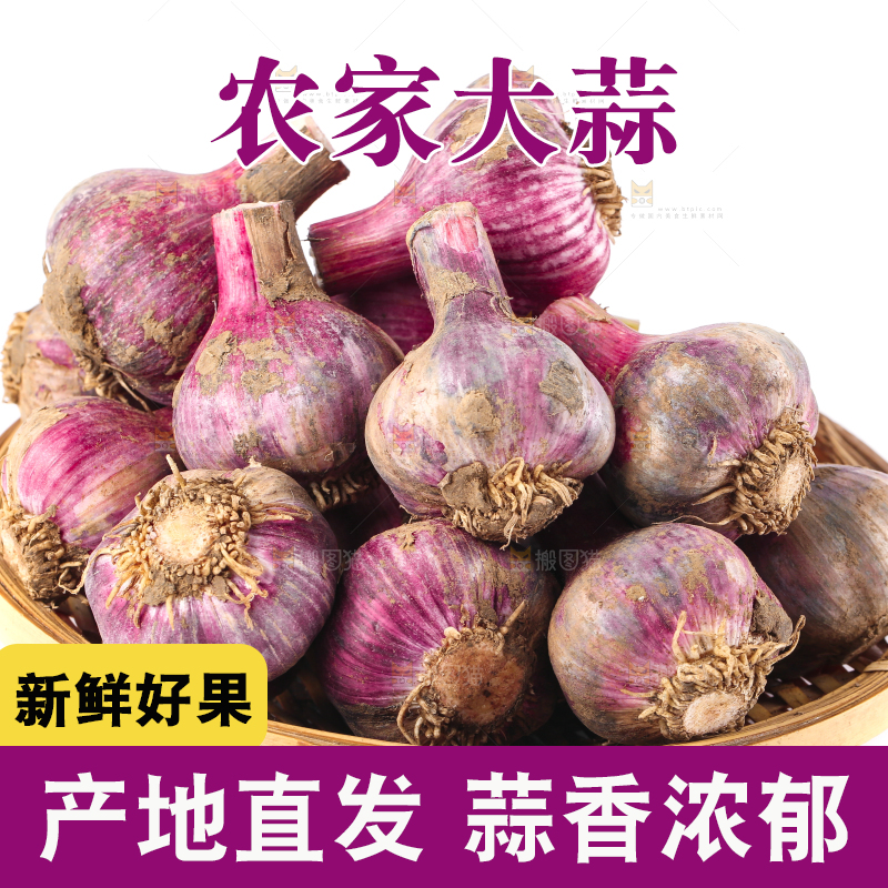篮子里的大理紫皮多瓣蒜