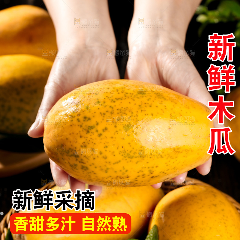 黑底上的广西冰糖心木瓜