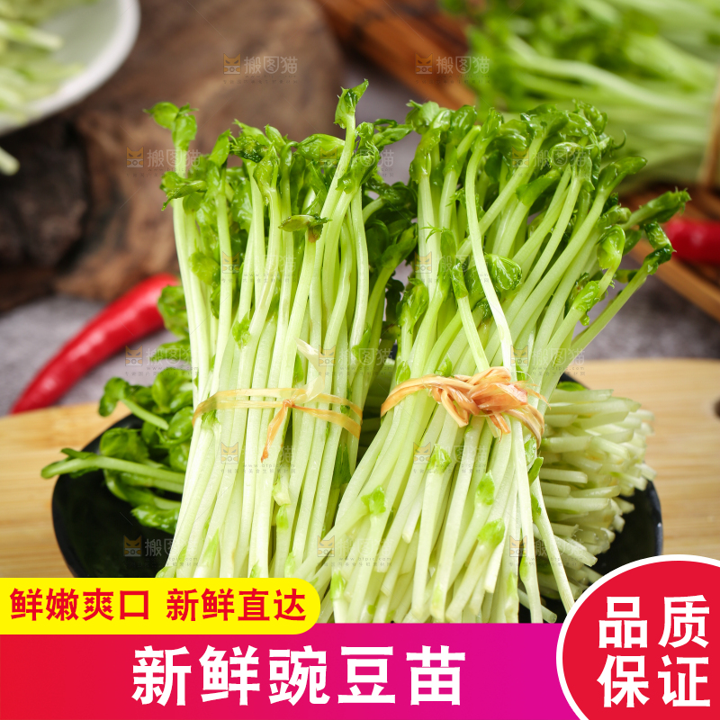木板上放着豌豆芽