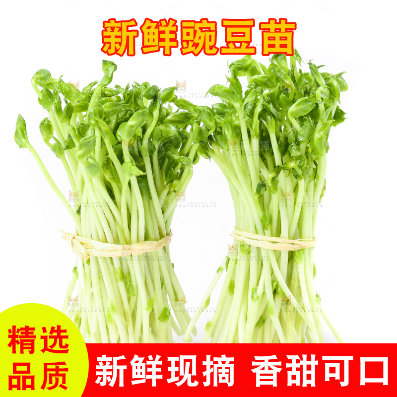 白底上放着豌豆芽菜