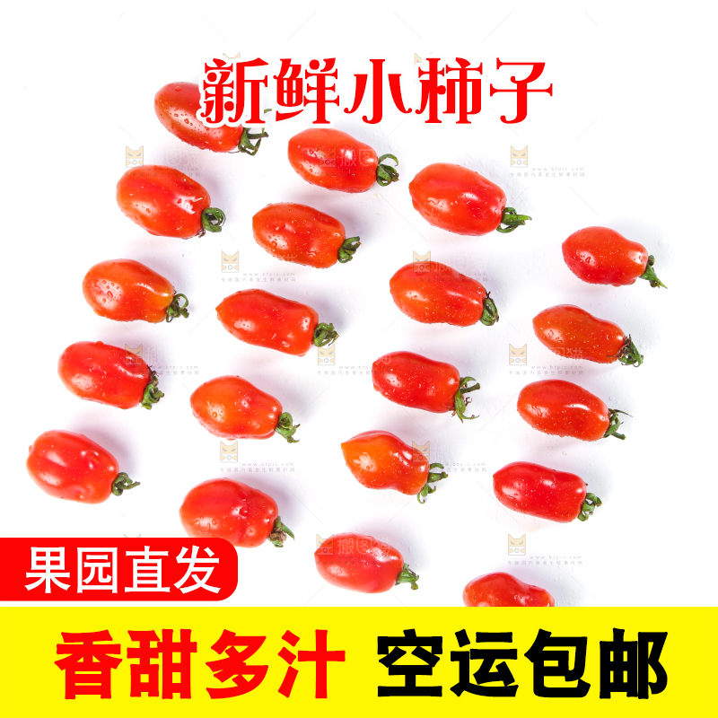 白底上摆放着丹东409小柿子