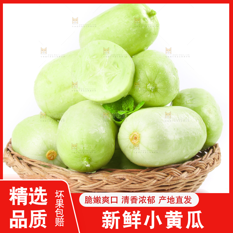 一筐玉女黄瓜放在白底上