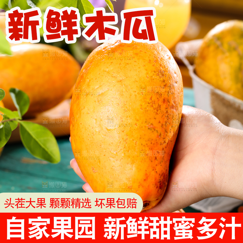 盘子里装着雷州红心木瓜