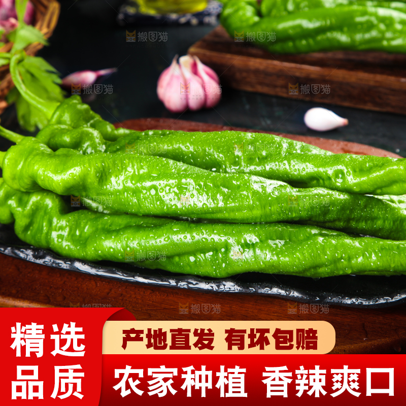 木板上放着陕西螺丝椒