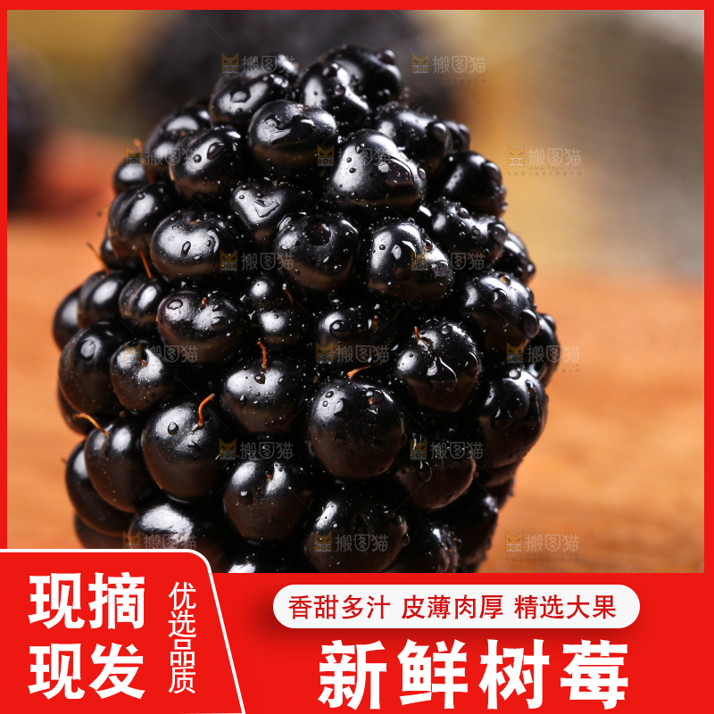 木底上的黑莓