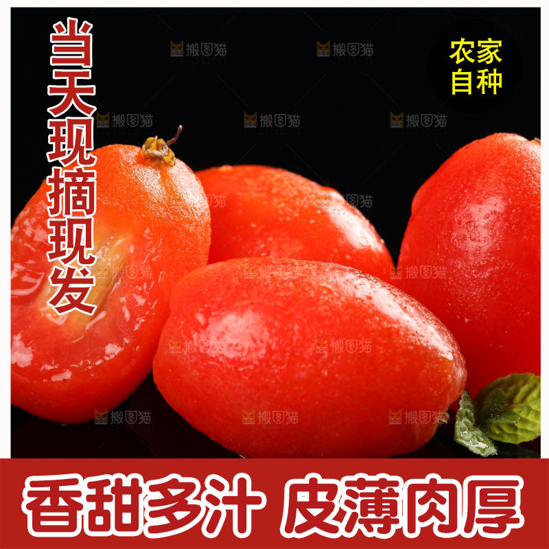 野生羊奶果放在黑底上