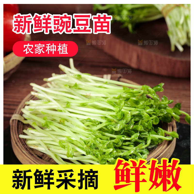 篮子里装着豆苗菜