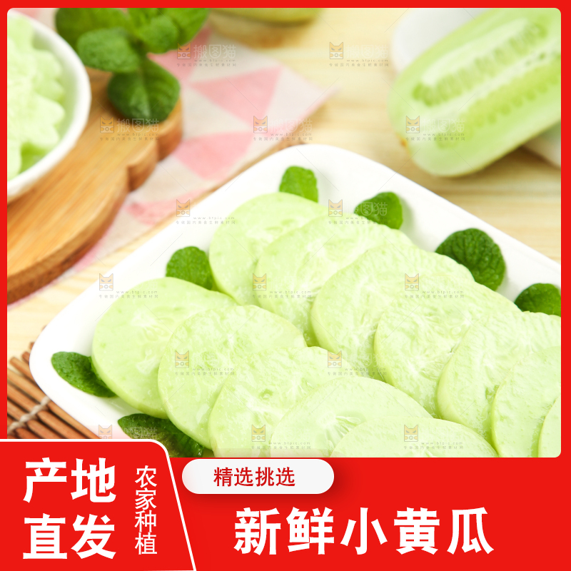 木底上的玉女黄瓜片