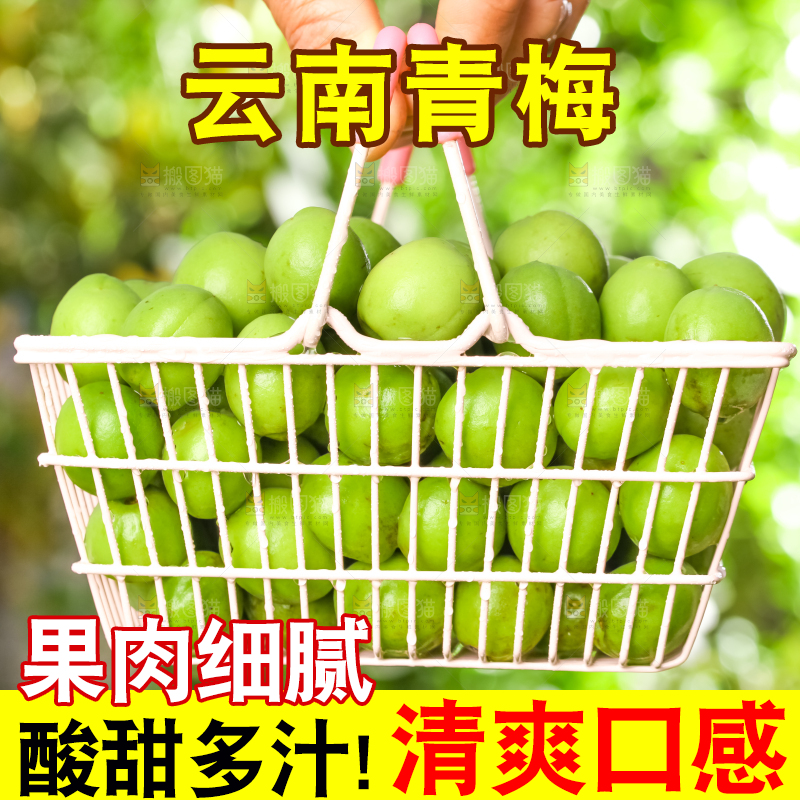 手提一篮青梅