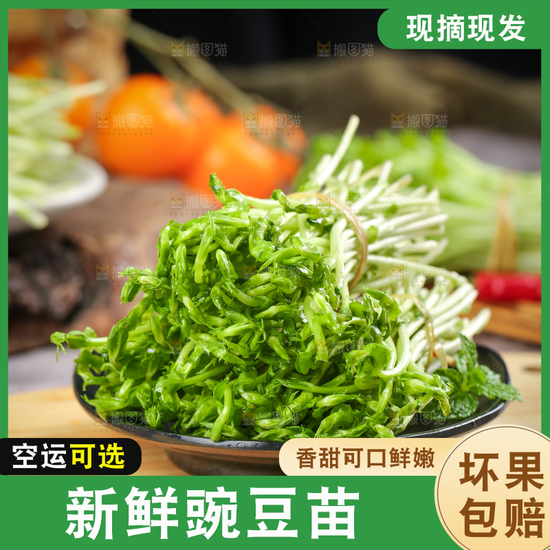 木板上放着豌豆芽