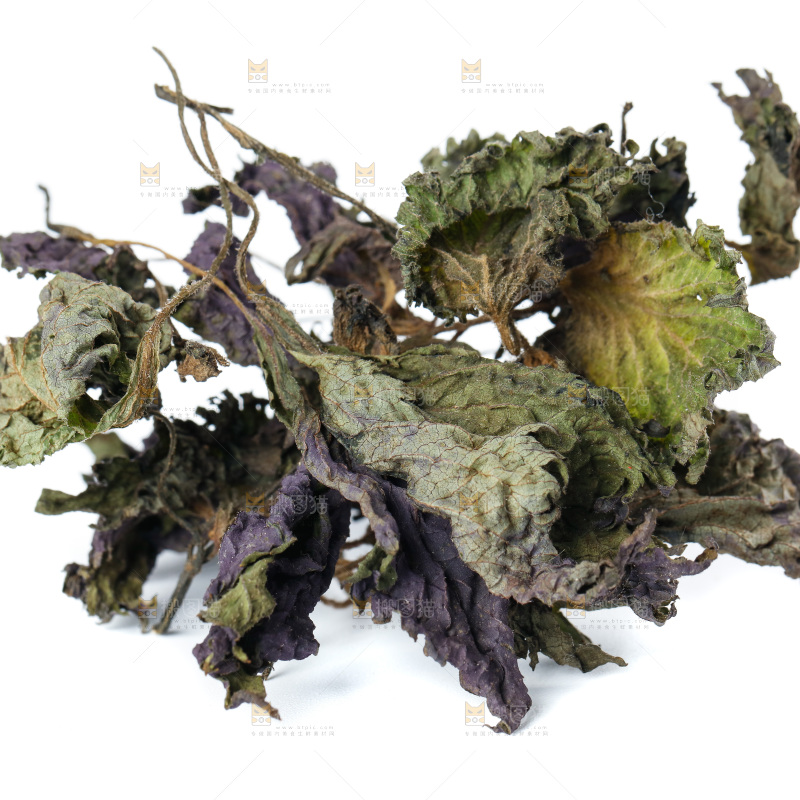 白底上的紫苏叶干