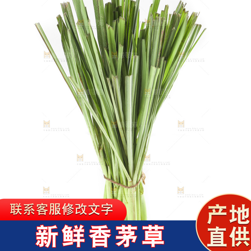 白底上的越南柠檬草