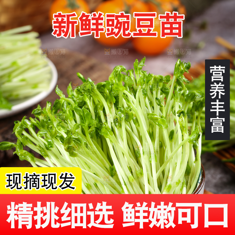 碗里装着豌豆芽菜