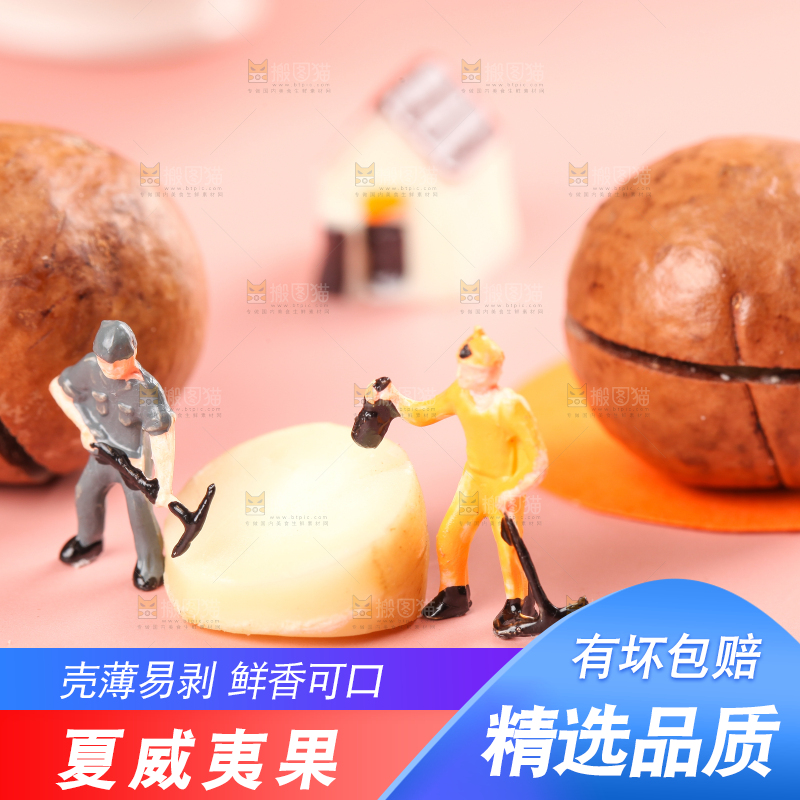 浅底上的夏威夷果