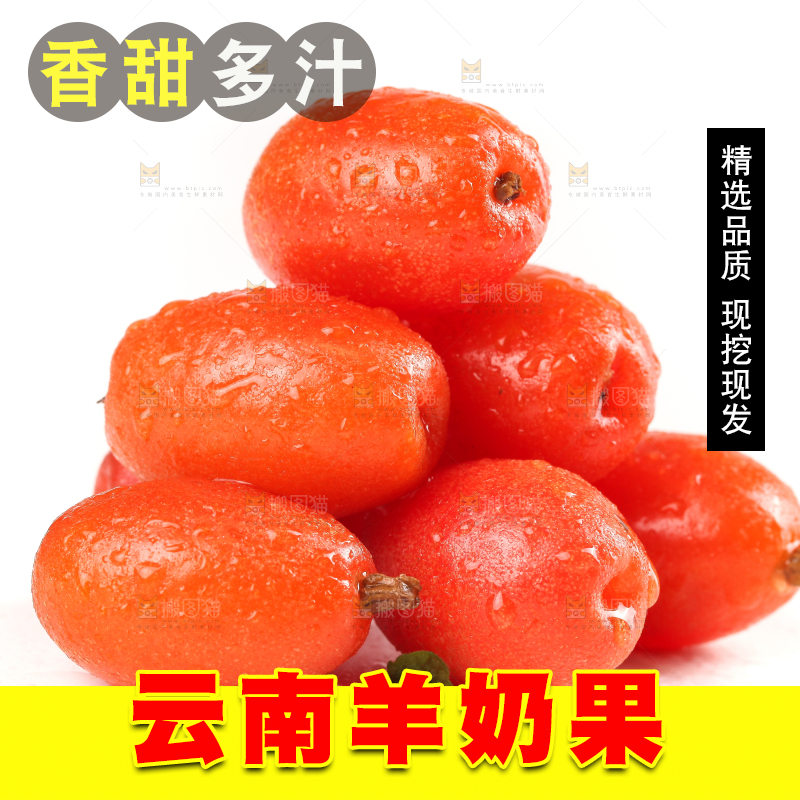 白底上放着新鲜羊奶果