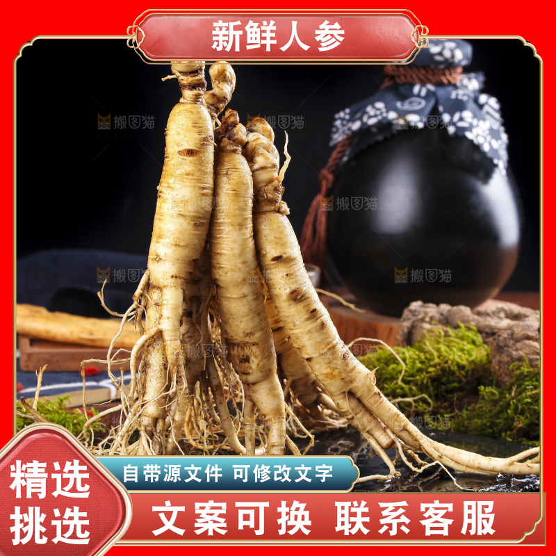 黑石板上的东北人参