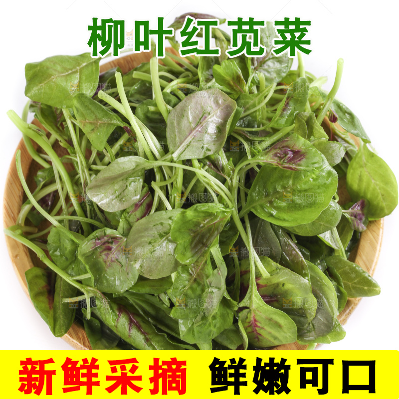 一盘农家苋菜放在白底上