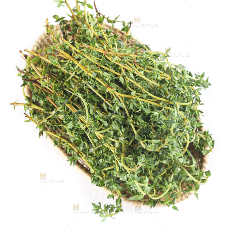 一盘麝香草放在白底上
