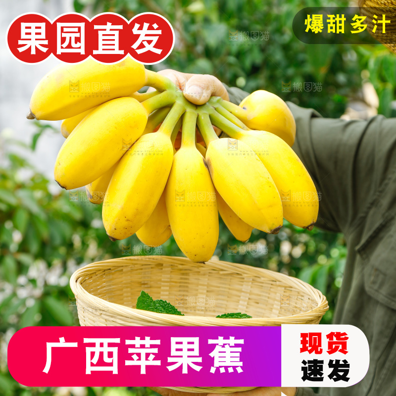 手拿一把新鲜的苹果蕉