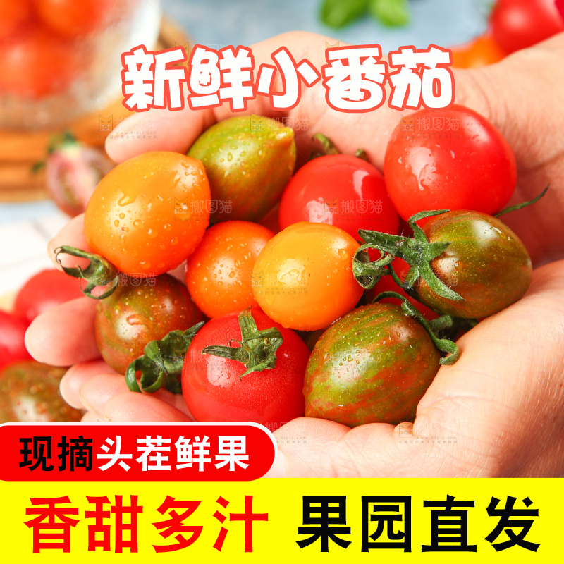 手拿三色圣女果