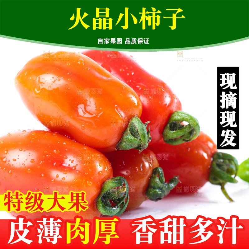 白底上摆放着丹东409小柿子