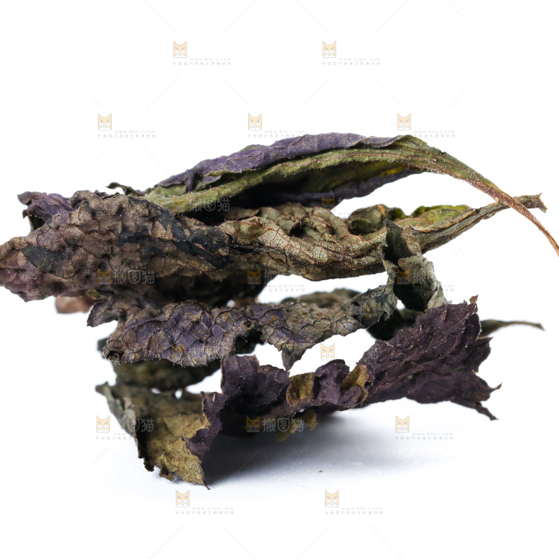 白底上的紫苏叶干