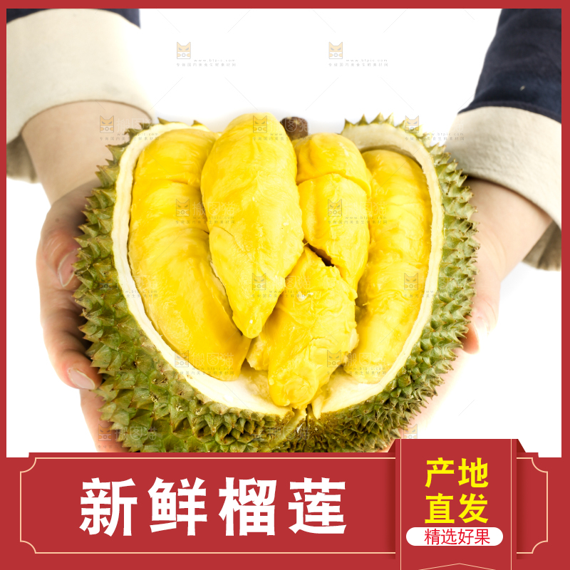 白底上摆放着甲仑榴莲
