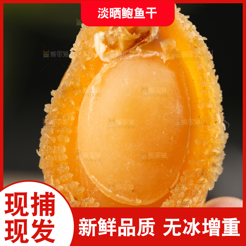 手拿干鲍鱼