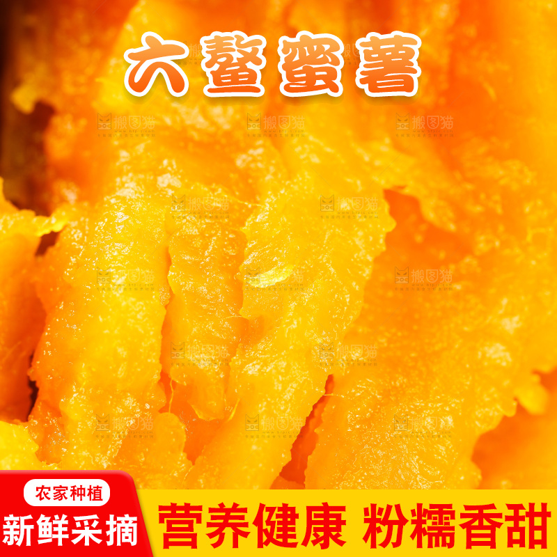 深底上的福建六鳌蜜薯