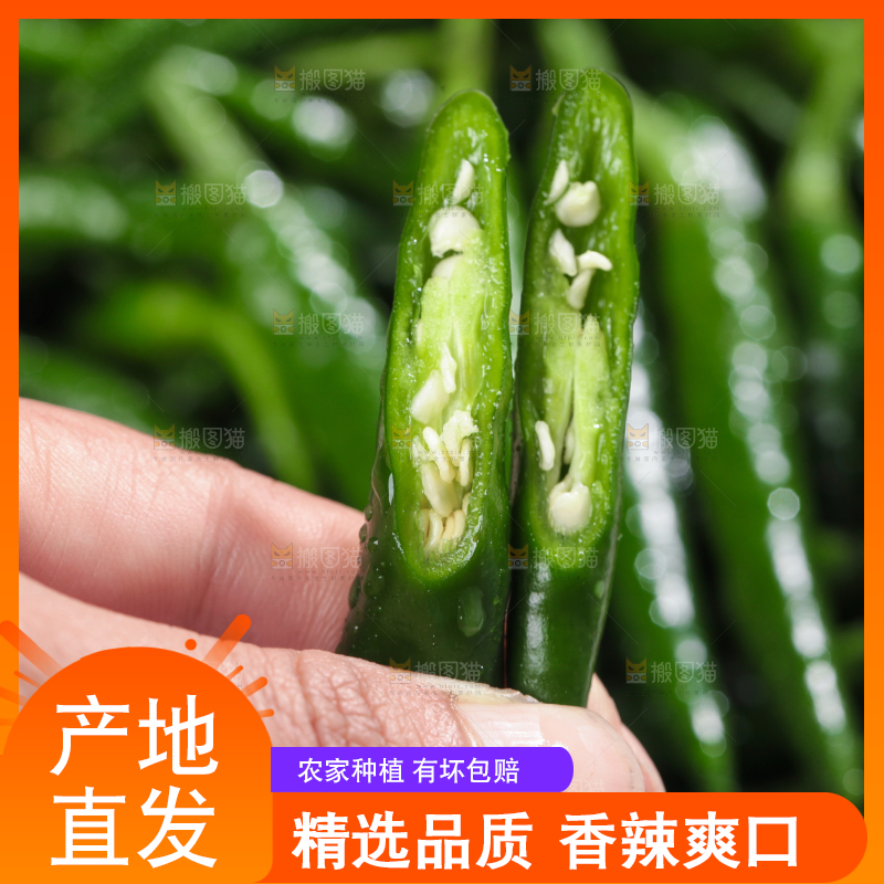 手拿切开的青米椒