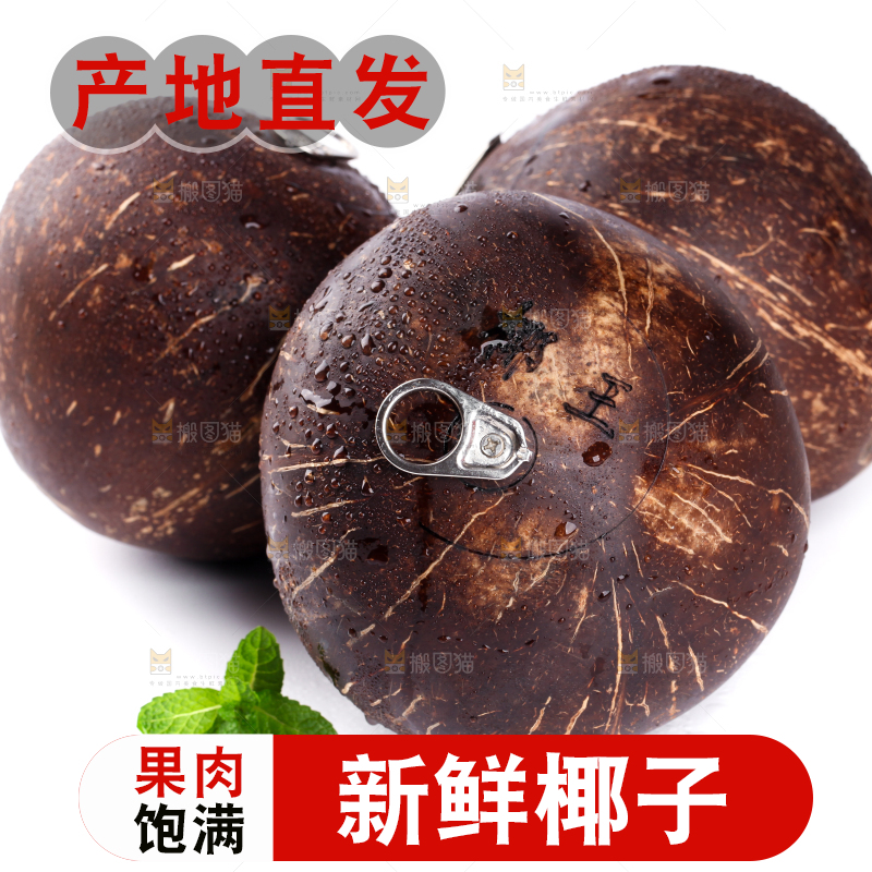 白底上放着海南椰王