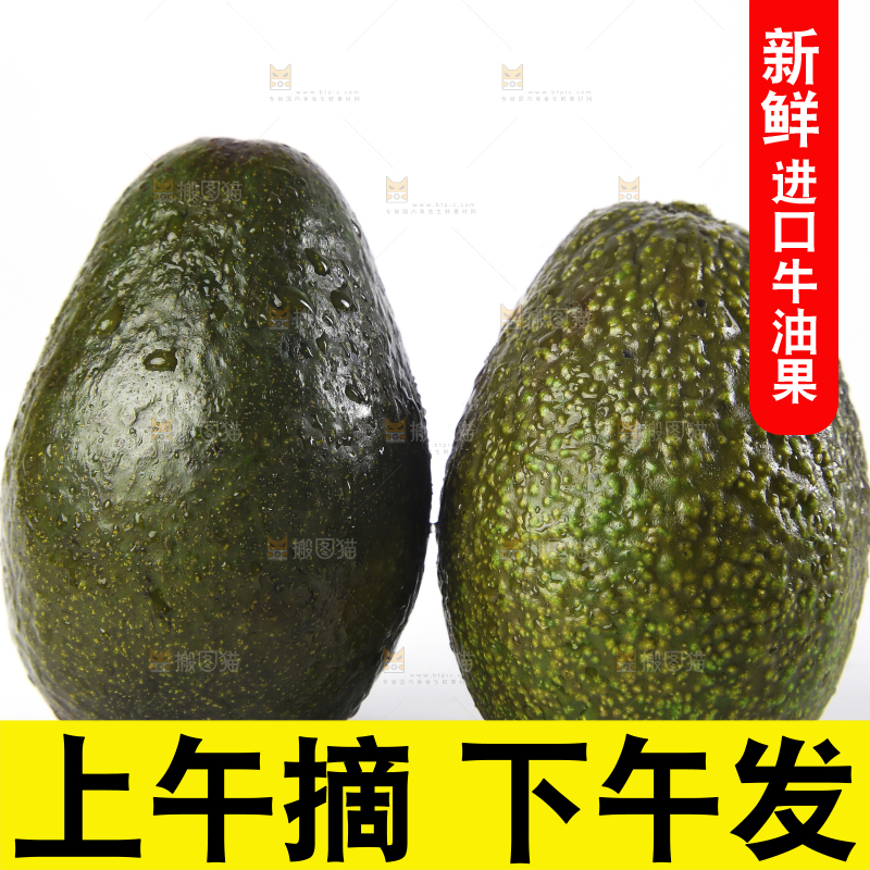 白底上的牛油果