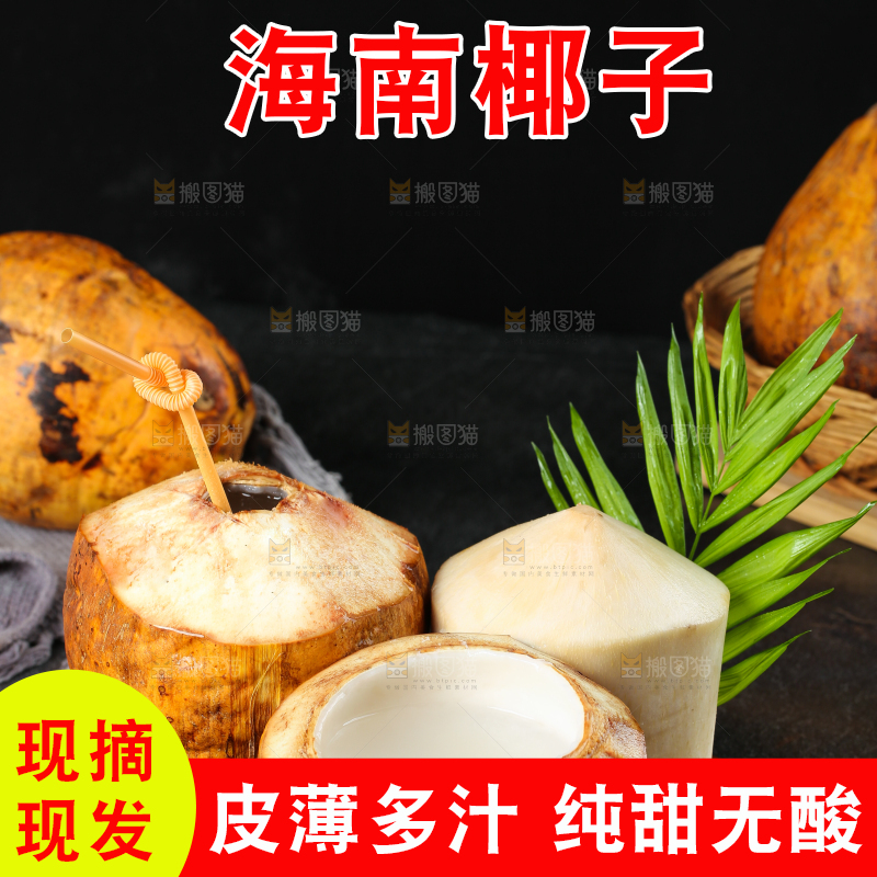 黑底上的黄金椰子