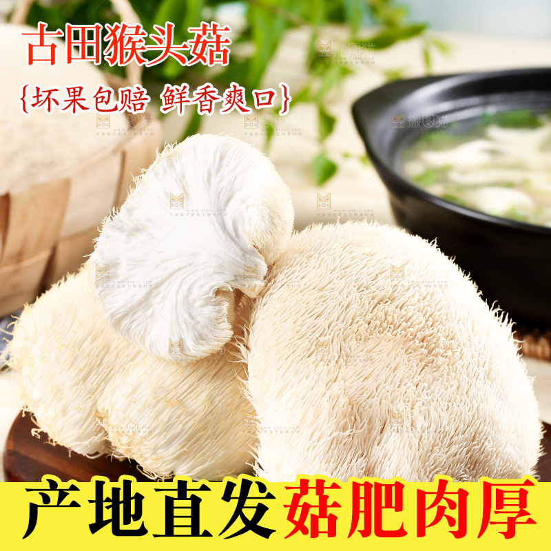 木板上放着长白山猴头菇