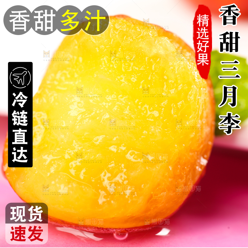 白石板上摆放着钱排三月李